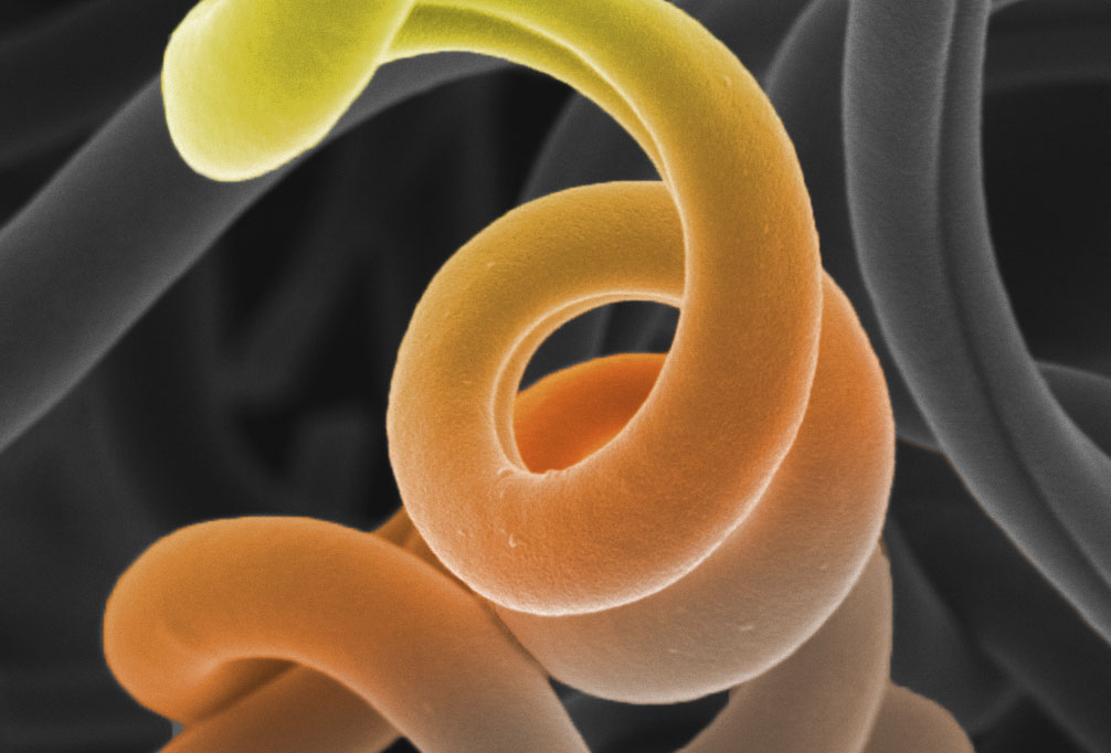 Nicole Grobert tweet media