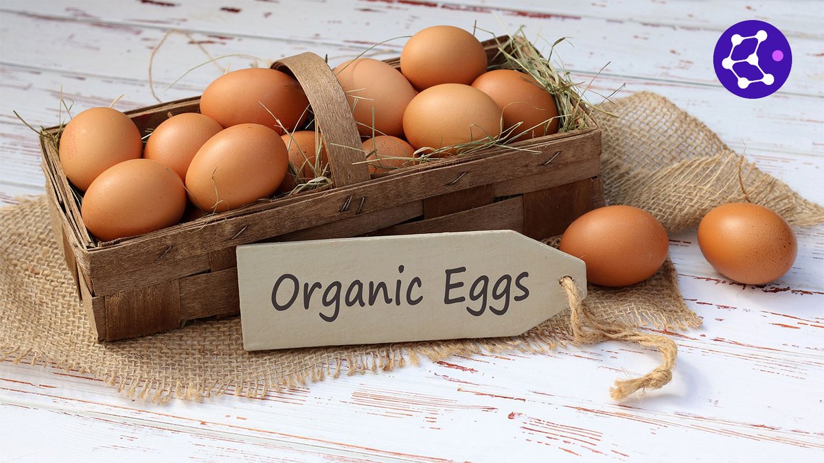 Why $CAU is different from all other PoW coins?

" $Stable Mining Costs "

There are no PoW coins ever created that have stable mining costs using algorithms like $CAU, making $CAU achieve the perfect balance between supply and demand.

Let us take an example:

The average cost