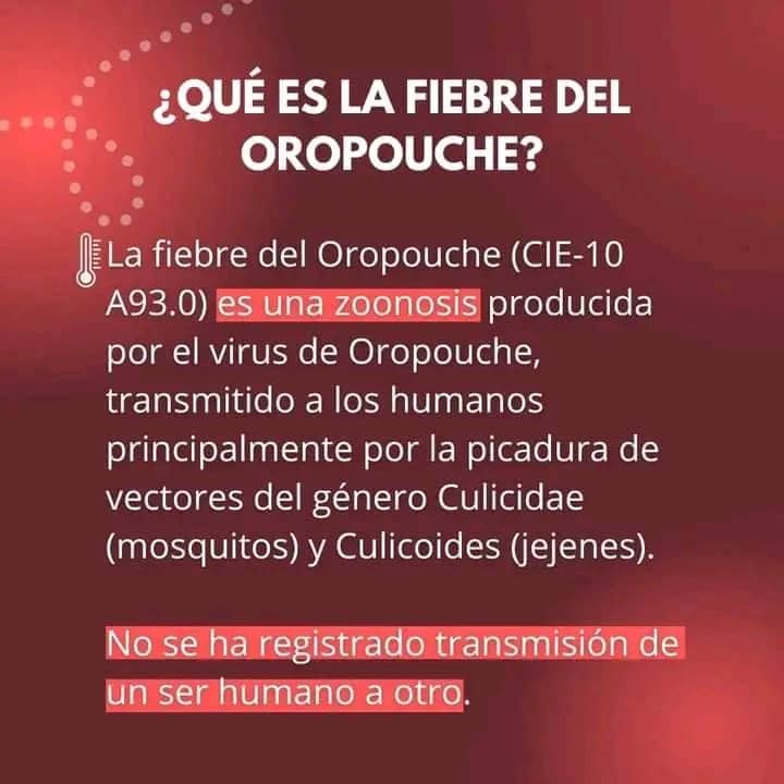 LivanRojas4's tweet photo. Se prepara #Salud en #Cienfuegos para el incremento de casos sospechosos de arbovirosis con capacitación a profesionales del territorio y principales autoridades del territorio así como el abordaje al virus del Oropouche #CienfuegosXMásVictorias https://t.co/OojQiMyy7A