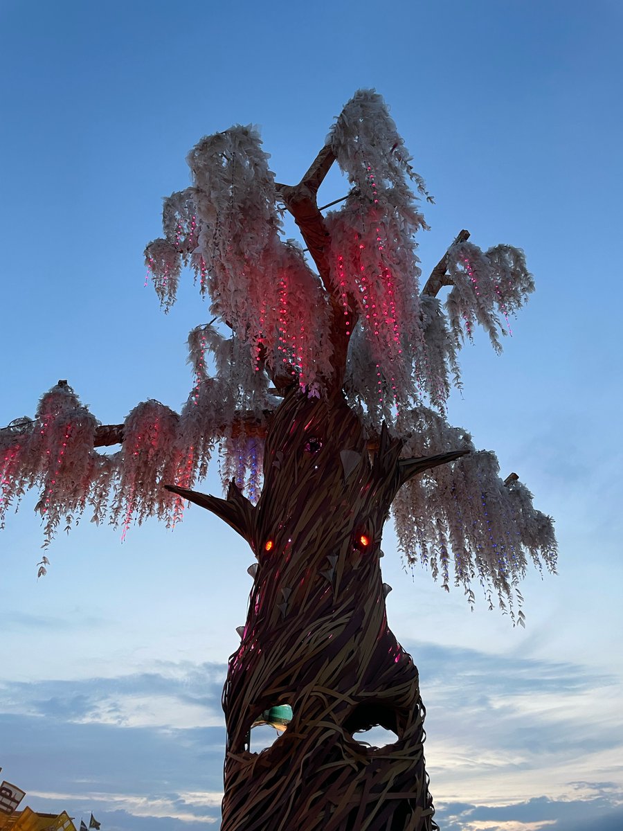 The Greenpeace Tree, Glastonbury 2023 #glastonbury2024 #glasto2024 #glastonbury #glastonburyfestival #glasto #glastofest #glastophoto #glastonburyinfo #glastonburycountdown #glastonburytickets #festivals #music #festival