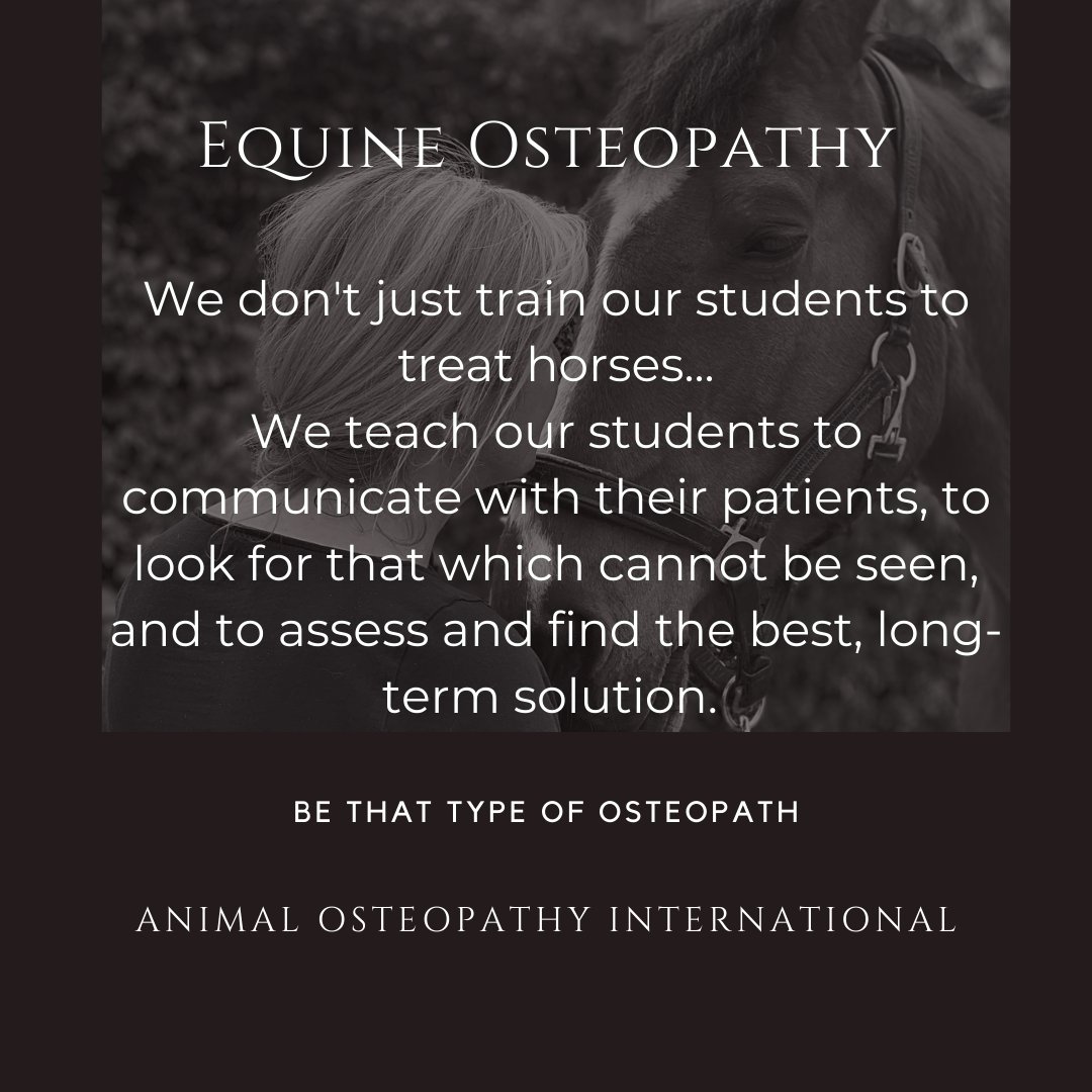 Advanced CPD courses (with live practicums), starting later this year, for animal osteopaths who want to be exceptional. For more information, register today: herdwickandgooselimited.mykajabi.com/courses #advancedanimalosteopathy #CPDforanimalosteopaths