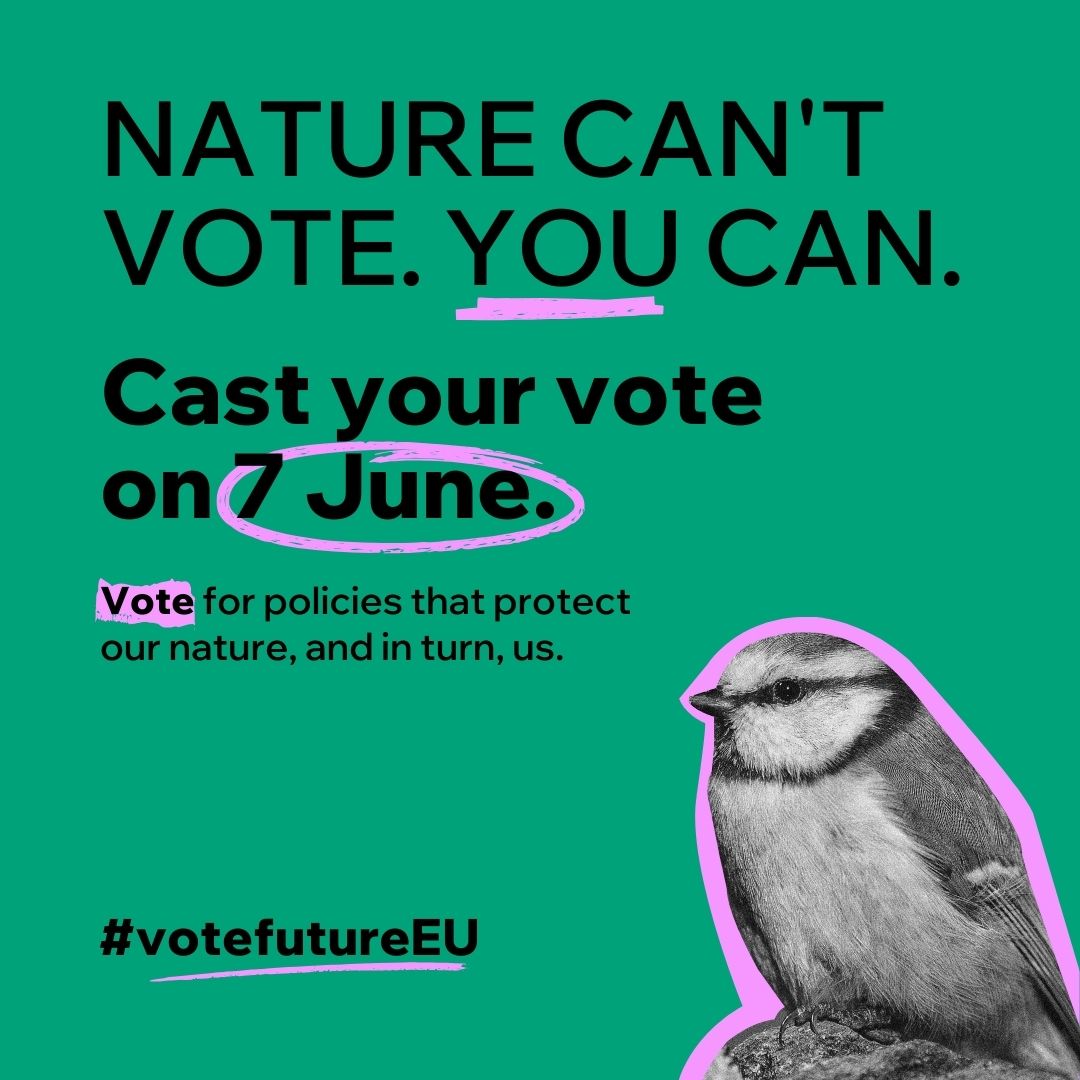 It’s important to ensure that who we vote for, at local and EU level, has the environment high on their list of priorities Read our latest article for information on EU politics and our main asks for nature iwt.ie/nature-cant-vo…