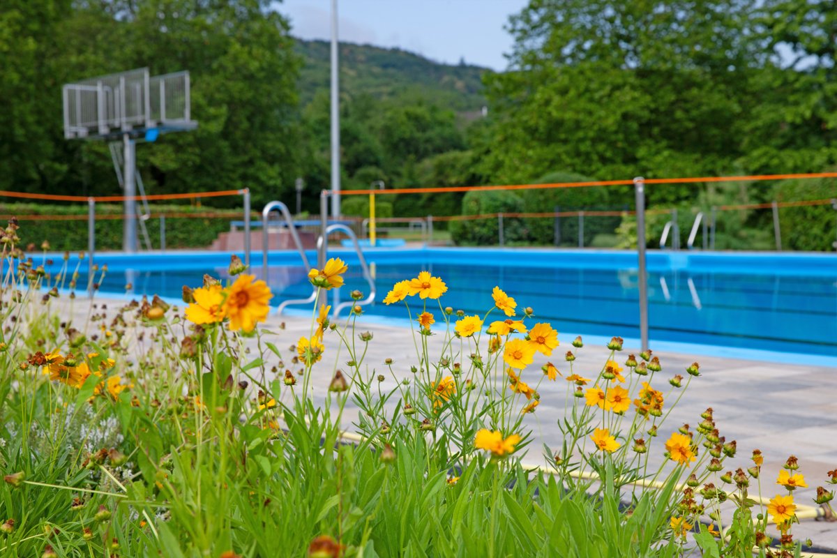 Das Hardtbergbad, Römerbad und „Rüngsi“ starten am 30. Mai in die Freibadsaison 2024! Das „Friesi' ist bereits in Betrieb. Die Öffnungszeiten der Bäder und weitere Infos gibt es hier: bonn.de/baeder