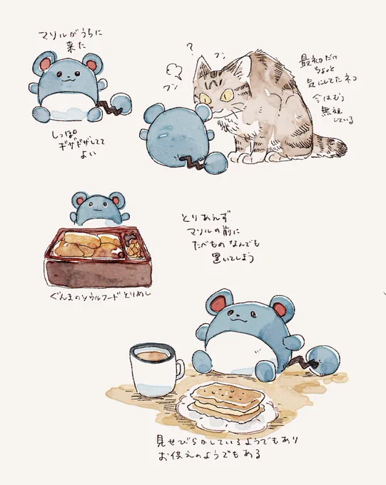 🦋にも載せた、マリルに日常をかわいく支配されつつある日記です 思ってた以上の存在感 