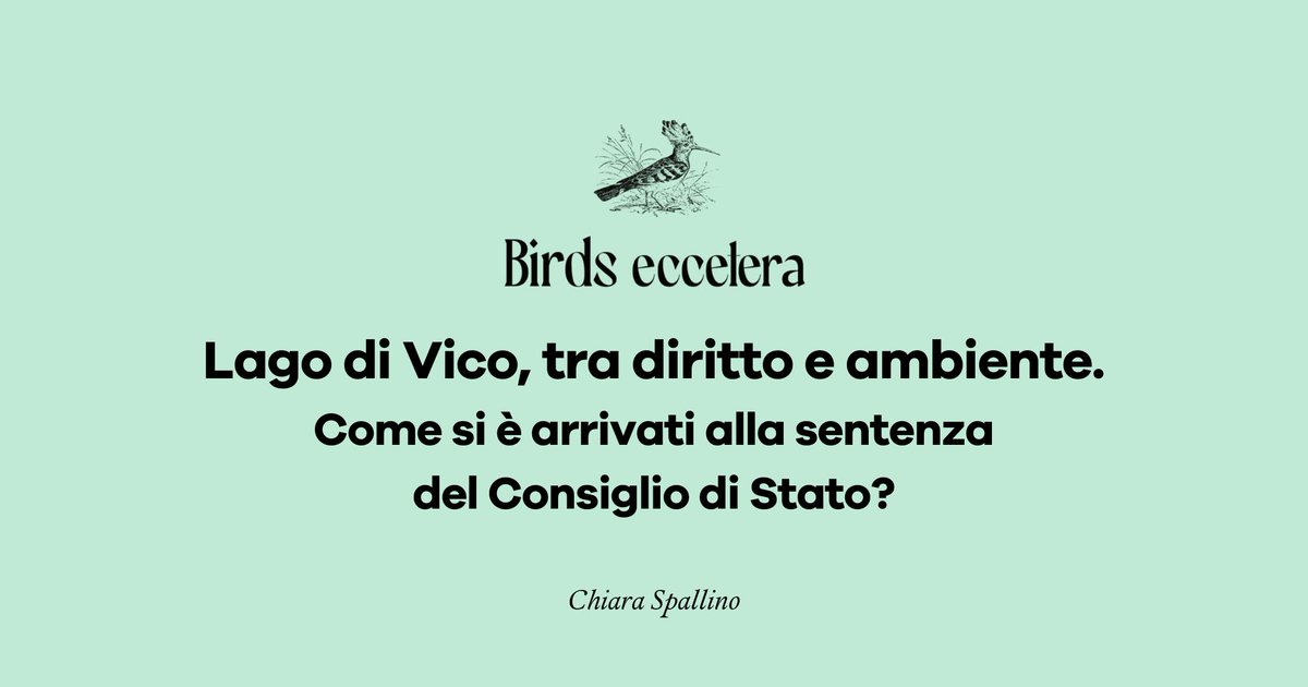 Oggi su Birds eccetera parliamo dell'inquinamento nel Lago di Vico e sulle sue sponde. Finalmente infatti la Regione Lazio dovrà applicare le Direttive Habitat e Nitrati, rendendo nuovamente l'acqua potabile e il lago accogliente per la biodiversità🪷 bit.ly/BirdsEccetera