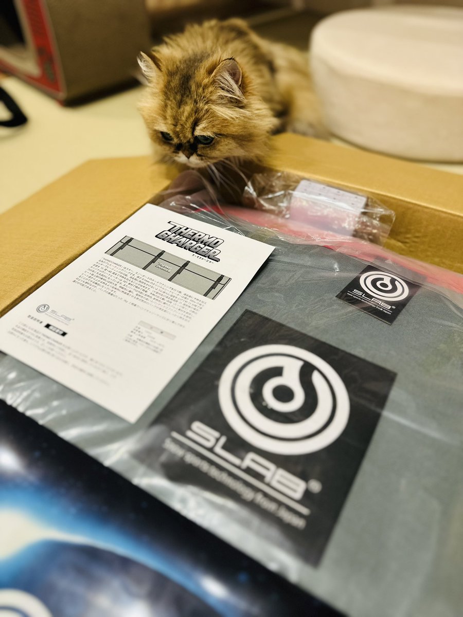 posaune_k's tweet image. 狙ってたみんなごめんやで🥺
当ててもうたわ🥹✨
#slab
#yukiyama
#RIDEOUT
#THERMOCHARGER

ありがとうございます！
来シーズンもアプリとともにフル活用して楽しみ尽くします😆
@yukiyama2016 
@IcetuneK