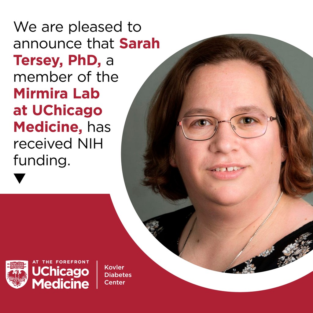 We are pleased to announce that Sarah Tersey, PhD, a member of the Mirmira Lab at UChicago Medicine, has received NIH funding to further study the molecular mechanisms of the polyamine/hypusine pathway to better understand the progression of #type1diabetes.

@UChicagoMedicine