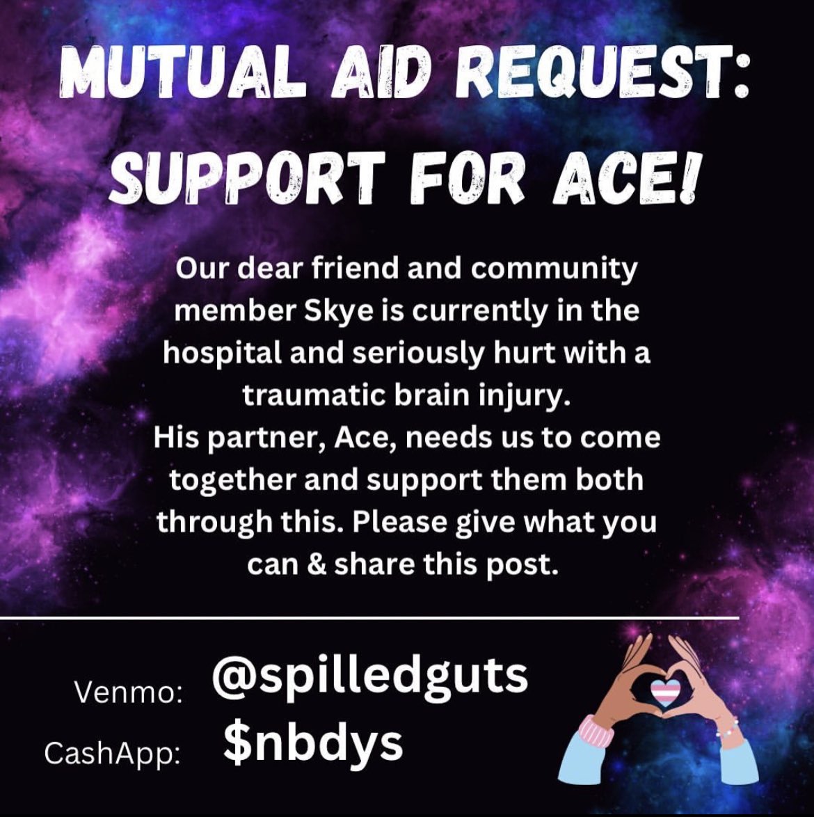 Skye passed away over the weekend. Please consider donating to his partner Ace who is in need of a lot of support right now. Money should be the last thing they’re worried about. 💔