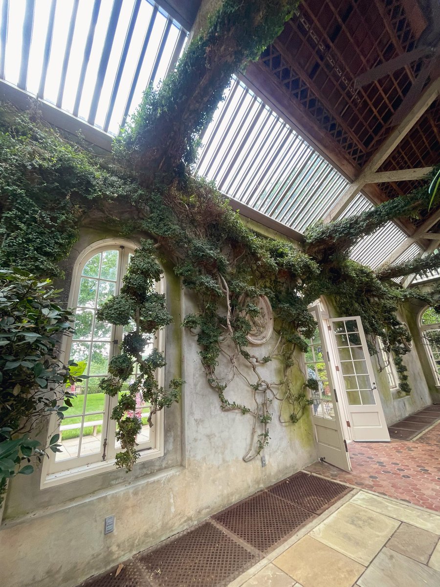 strawnarryjam's tweet photo. I went to a hidden garden this weekend and the views were absolutely ethereal 🌱🍃✨ https://t.co/jYU58uDeGW