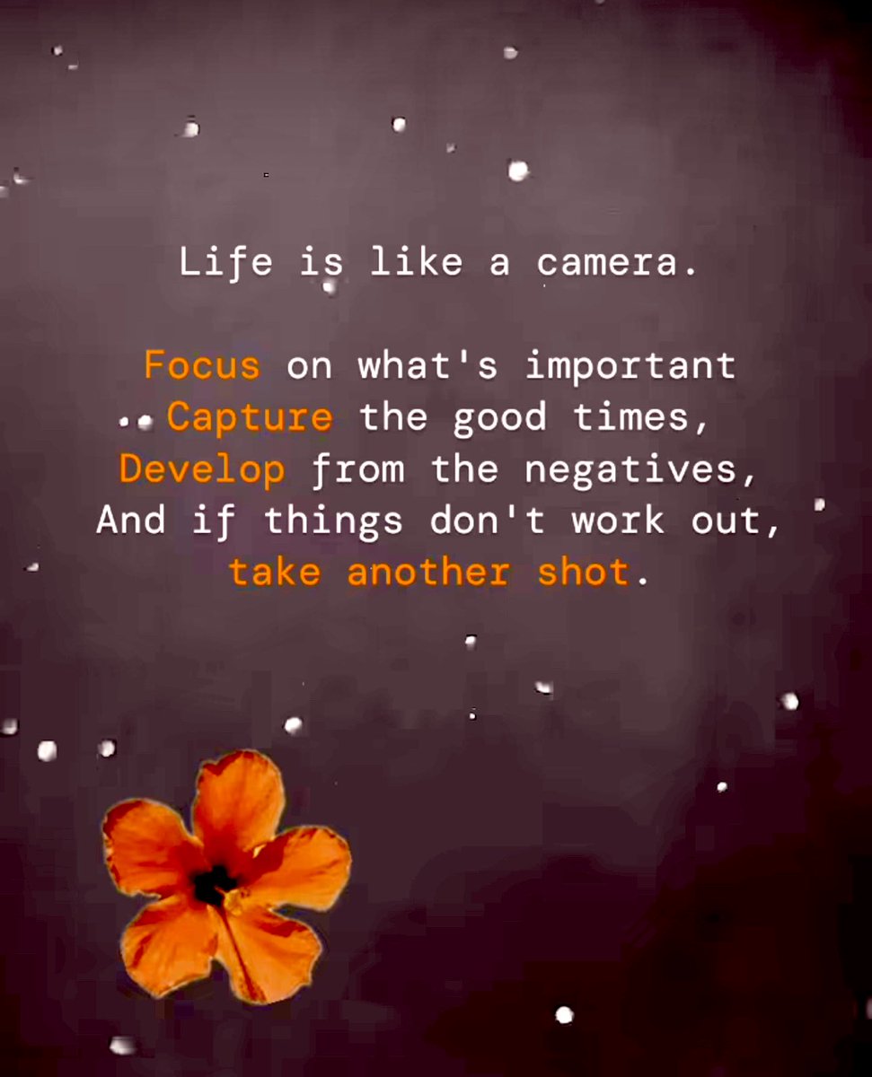 Happy Tuesday and your daily dose of inspiration!💕

Life is like a camera. 
Focus on what’s important. 💕

Grateful for the opportunity to live, love, and lead.💕

#ALLmeansALL 
#GreenfieldGuarantee #ProudtobeGUSD
#CultivateCuriosity
#TrustAndInspire
#TrustAndGrow