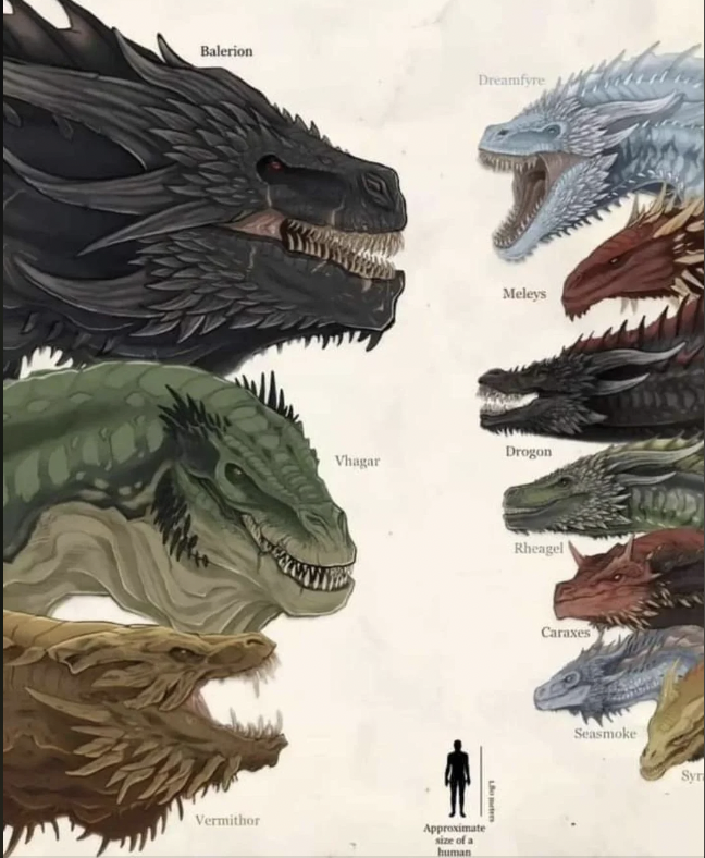 size of the dragons from Fire & Blood and Game of Thrones