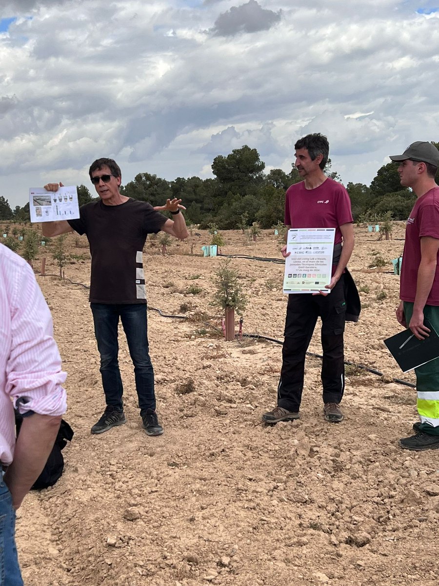 El 17 de mayo @ctforestal participó en la jornada: Cultivo de trufa negra en un contexto de cambio climático. La experiencia de la finca de Maials, Segrià (Lleida)🍄🌿Este evento se enmarca dentro del proyecto #IMFOREST, centrado en productos no madereros #PFNM #NextGenerationEU