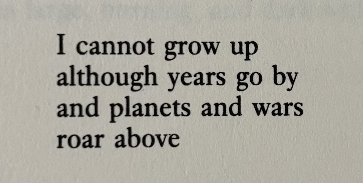 Zbigniew Herbert, from “Mr. Cogito Thinks of Returning to the City Where He Was Born” (translated by John & Bogdana Carpenter)
