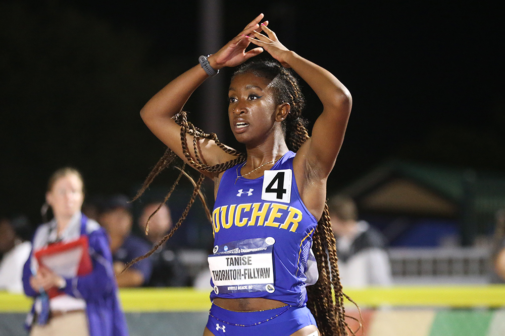 Goucher Gophers tweet media