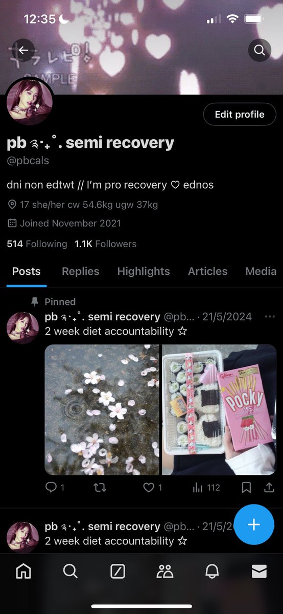 pb ༉‧₊˚. tweet media