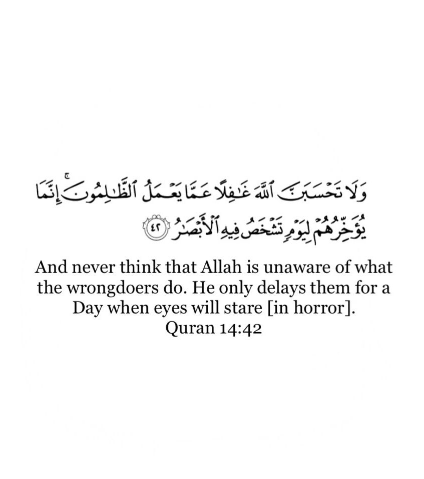 HalalNation_'s tweet image. All Eyes On Rafah.