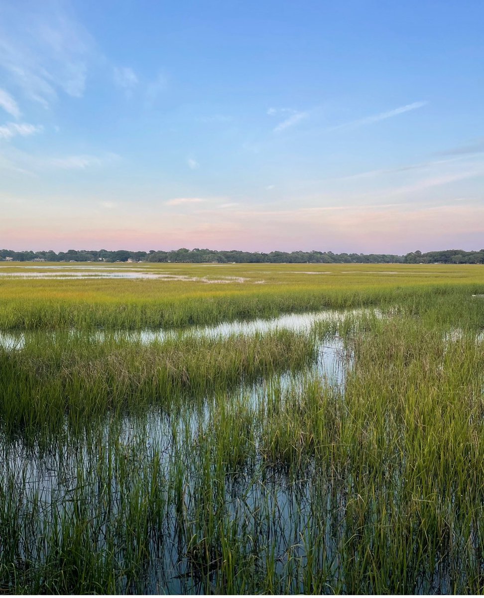 A Lowcountry Landscape - Breathe it in.....