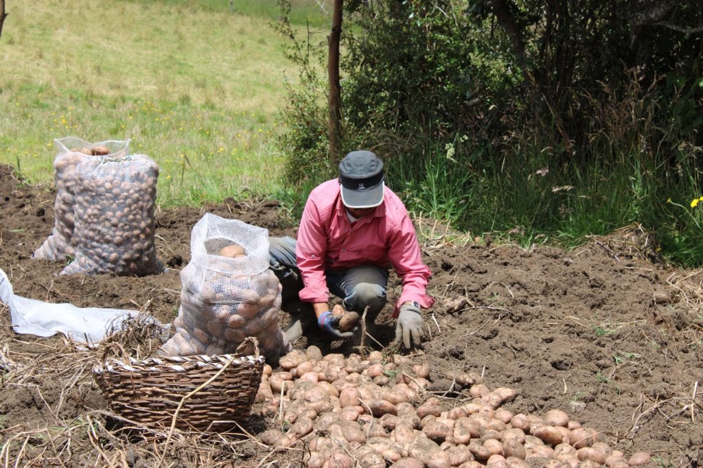 II Congreso Agrario se realizará en Villa de Leyva 🌱. 

Una agenda que incluye paneles y conservatorios sobre identidad campesina y sus derechos, se desarrollará entre el 29 y 30 de mayo. 

Detalles 👇. 

lc.cx/JTxcDU