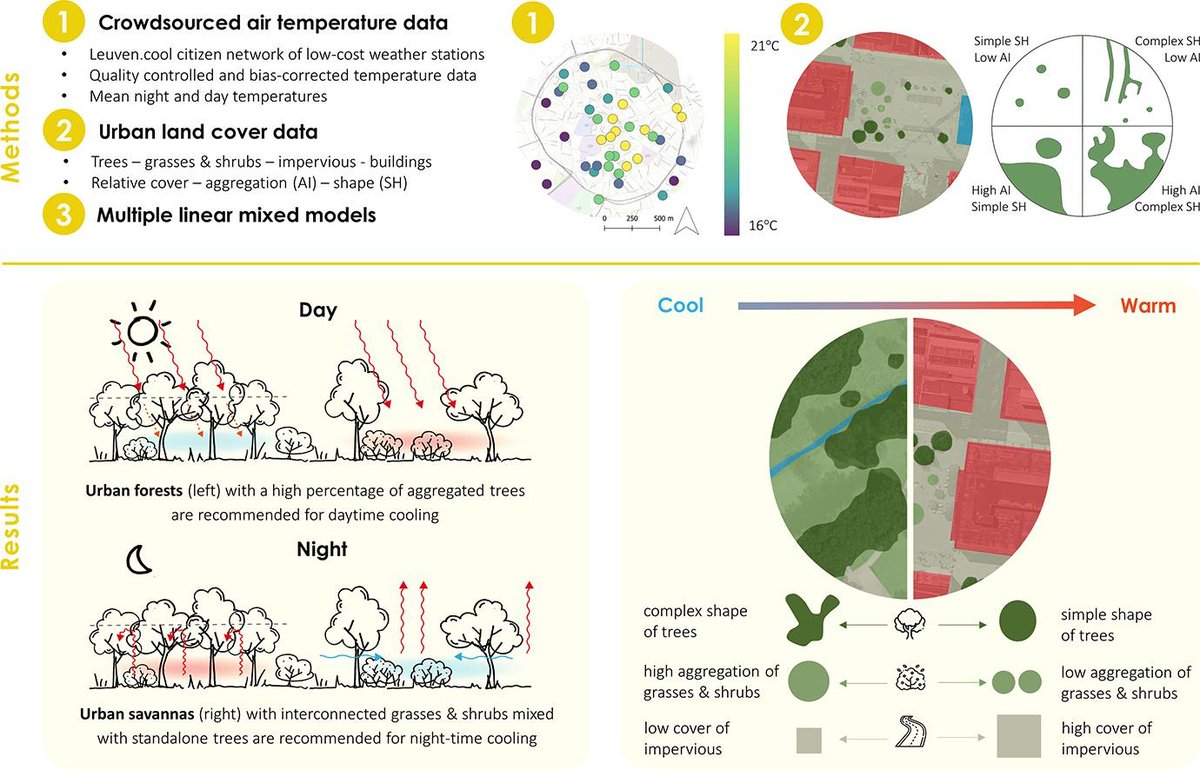 Niet stadsbossen maar stedelijke savannes zijn nodig om een stad 's nachts af te koelen tijdens hittegolven. Een belangrijk wetenschappelijk resultaat door Eva Beele (KULeuven) op basis van het citizen science weerstation-netwerk Leuven.cool!
👉authors.elsevier.com/c/1jA2fcUG5WWYu