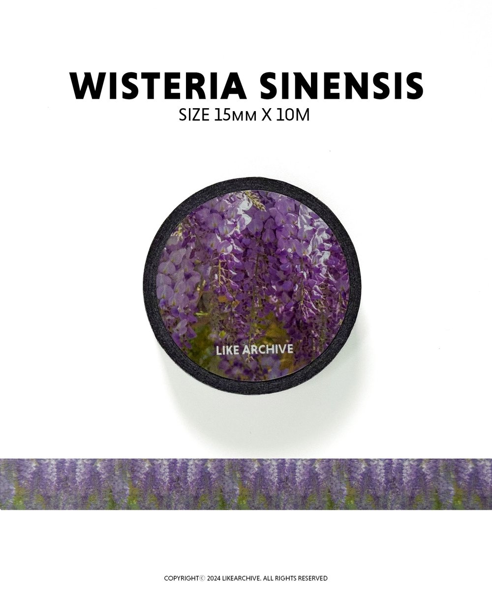 _like_archive_'s tweet photo. wisteria sinensis (15mm X 10M)

등나무 꽃 마스킹테이프
LIKE ARCHIVE[라이크아카이브]
네이버스토어에서 구매가능합니다.

ⓒ 2024 LIKEARCHIVE. ALL RIGHTS RESERVED 
🔗https://t.co/DzNDrtp3II

#마스킹테이프 #마테 #종이테이프 #테이프꾸미기 #스티커 #문구용품 #문구 #다꾸 #다이어리꾸미기 #등나무 #보라 #디자인문구