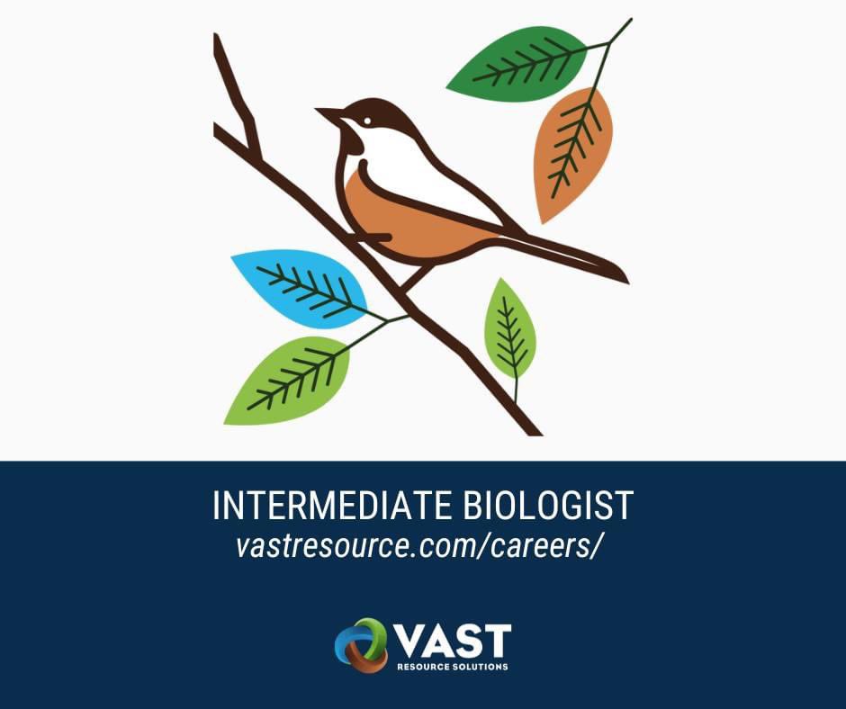 VAST_Resource's tweet photo. HIRING | VAST is seeking an experienced Intermediate Biologist to provide science-based and project management leadership to a diverse array of wildlife, terrestrial and wetland habitat, and vegetation assessment programs and studies. Visit https://t.co/q32QycuJC6 https://t.co/0K8faXjC8K