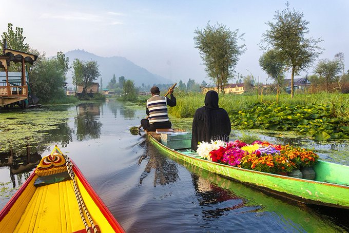 In the embrace of #Shikara, #Dallake reveals its hidden #symphony, weaving a melody of tranquility & timeless beauty.
#Kashmir 
#ParadiseOnEarth 
#NatureBeautiful 
#tranquility