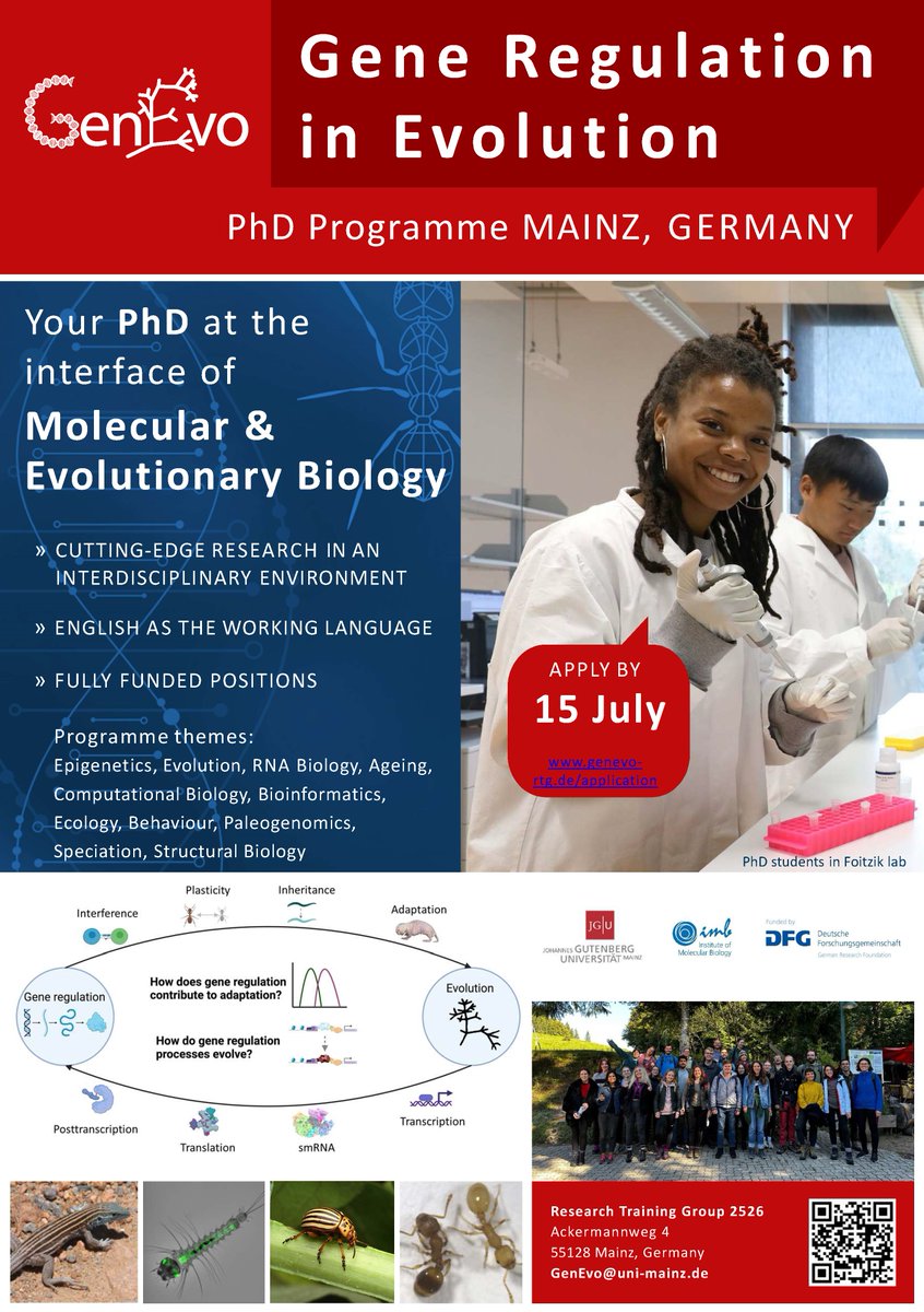 Are you looking for a #PhDposition in #evolutionarybiology, #molecularbiology or #lifesciences? 🧬
Check out the open call of our PhD Programme “Gene Regulation in Evolution”!

➡️ Apply by 15 July!
genevo-rtg.de/application