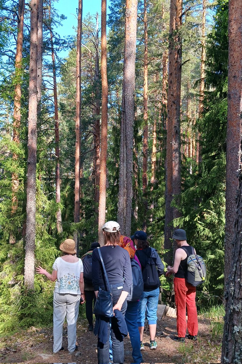 Kevätseminaarissa <a href="/lustomuseum/">Suomen Metsämuseo Lusto</a> nautittiin innoittavista #metsä #taide alustuksista, Metsän määritelmä-dokumentista, keskusteluista, metsäkävelyistä harjulla ja puulajipuistossa. Seminaari kokosi monitieteisen joukon tutkijoita, taiteilijoita ja opiskelijoita - Kiitos kaikille 💚