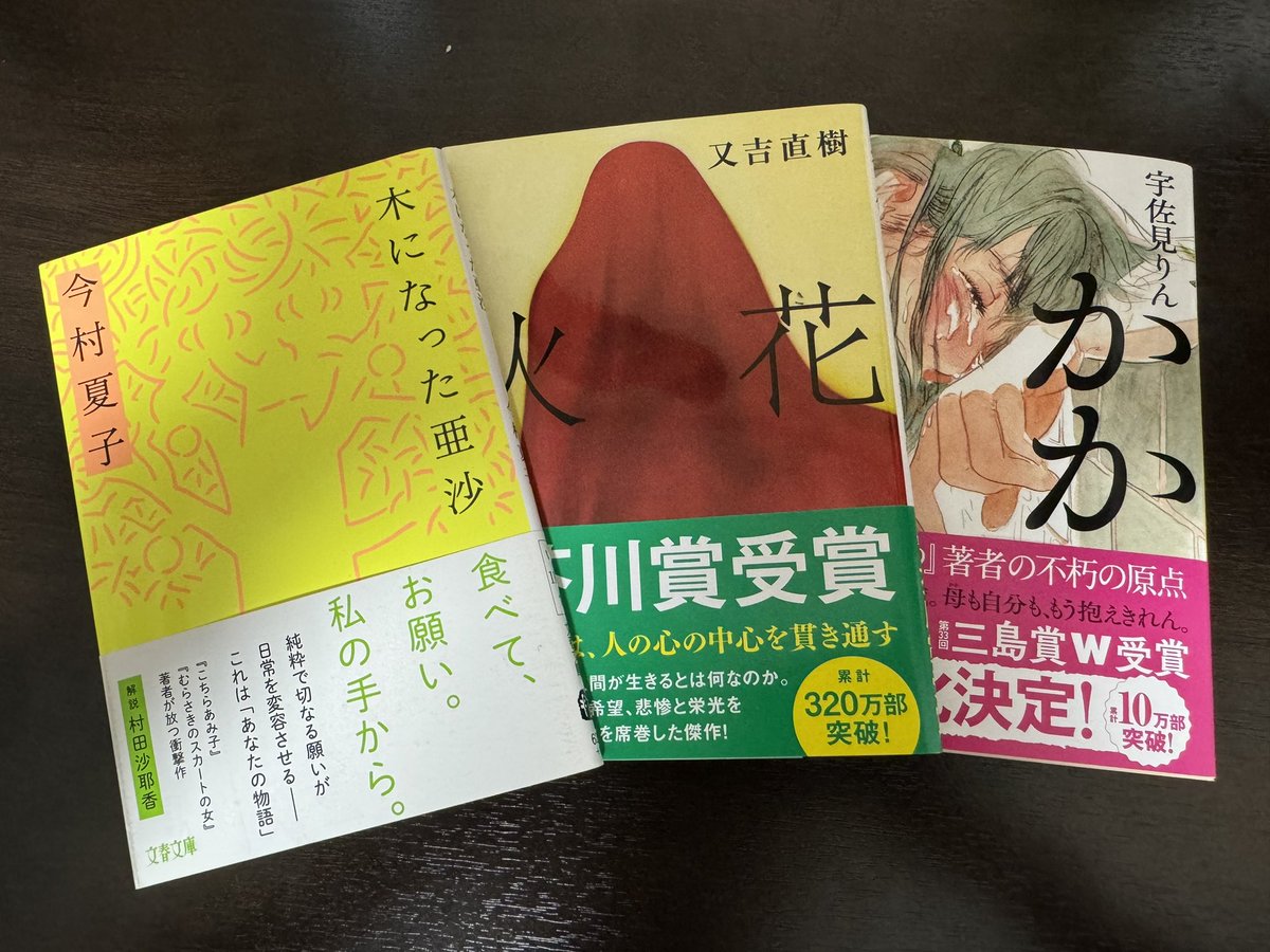 2024年5月　#読了

今村夏子『木になった亜沙』
又吉直樹『火花』
宇佐見りん『かか』