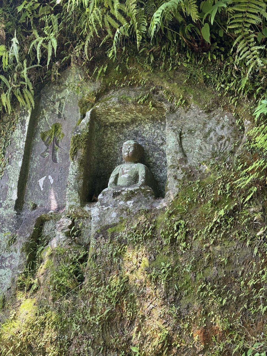 あのね。
これは樋脇町の倉野にある磨崖仏。
崖に掘られた仏さま。
なんだか神々しいね。

#薩摩川内市スポット
#樋脇町倉野
#倉野磨崖仏