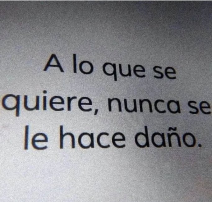 ¡Feliz y bendecido día!
#FelizMartes 

🫠