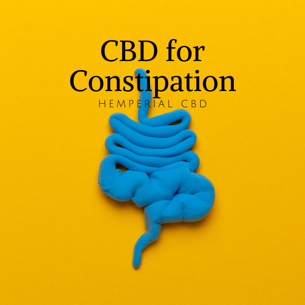 HemperialCBD's tweet photo. CBD for Constipation: A Comprehensive Overview of Its Potential Benefits
https://t.co/jf9y72X7js https://t.co/o0RL2JS6sI