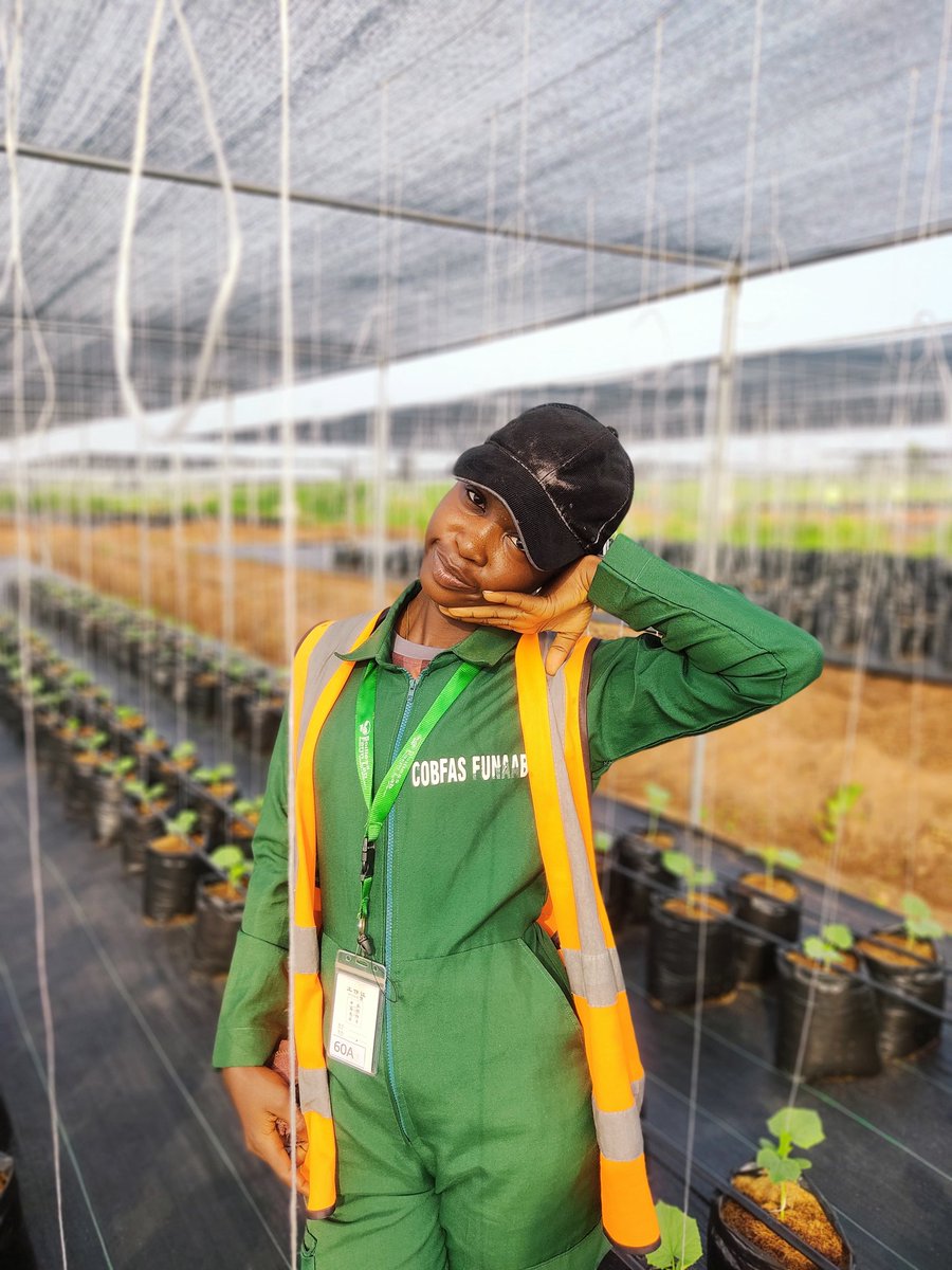 Growing a greener future,  one🌱 plant at a time. 

Hydroponics is the future of sustainable food production, where science meets sustainability. 
#soillessfarming #Foodsecurity #Foodsustainability #SFL #EYiAElite