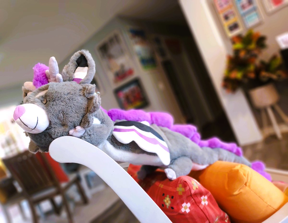 littlesofts's tweet photo. Marshmallow the Dragon is 100 cm/40 inches long and ready to give BIG HUGS (despite tiny arms...) 🐾🤍🖤💜Adoptable on Friday!! https://t.co/uG1mD2wVjr