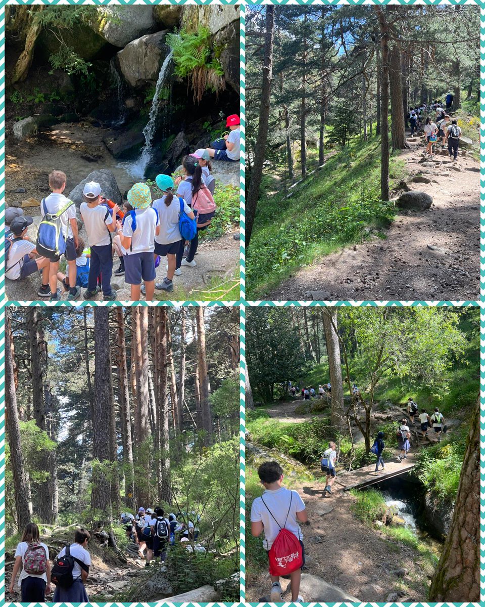 asuncion_rincon's tweet photo. Hoy los alumnos de quinto descubriendo  las sendas de la Sierra de Guadarrama, cohesión de grupo y disfrutar de la naturaleza. ¡Un buen plan para un martes! https://t.co/gEL4lXpfN7