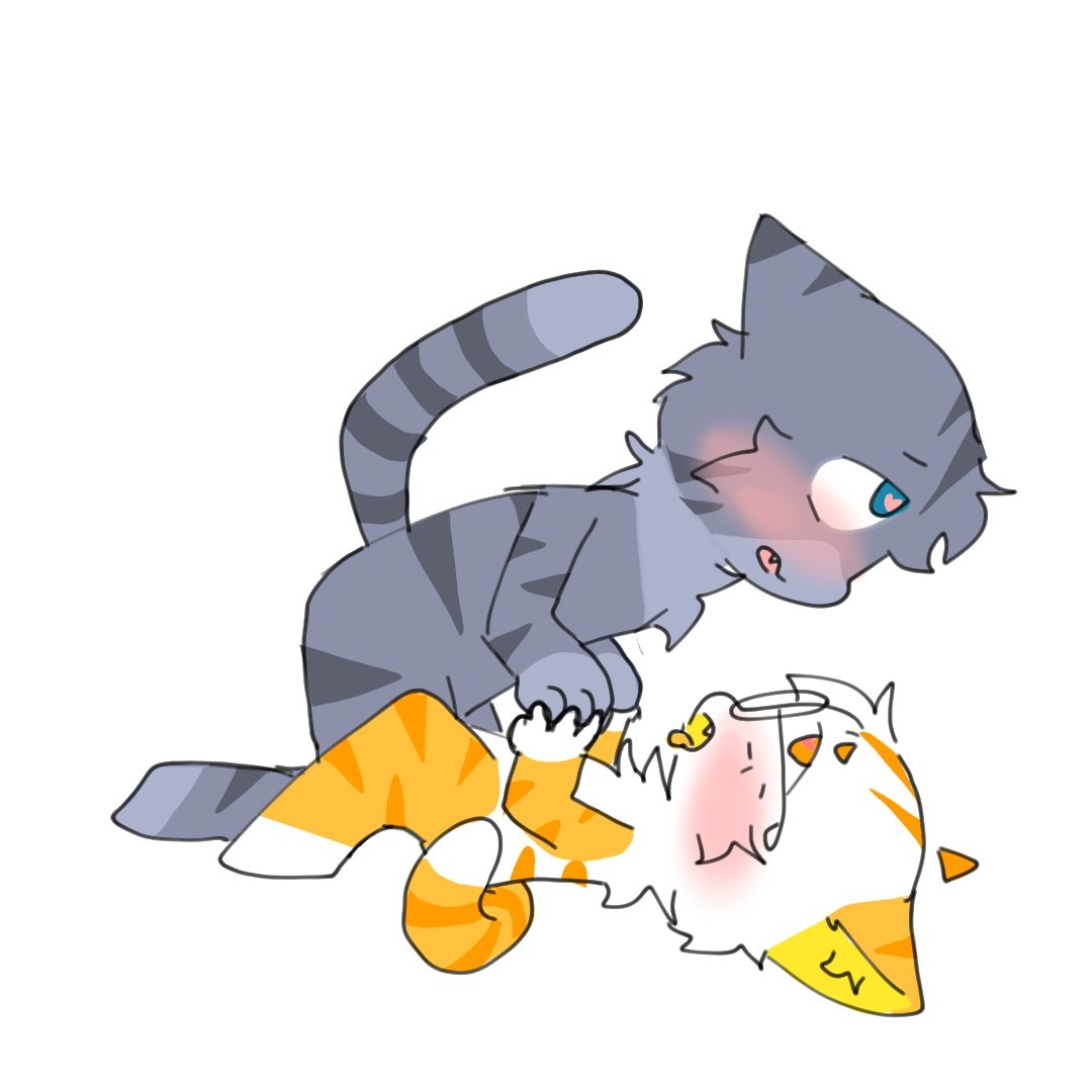 JQmooncat's tweet photo. 月猫里账号，主furry18🈲 https://t.co/hpWPEHzOUk