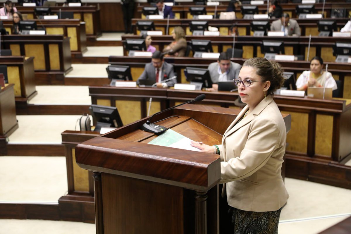 AsambleaEcuador's tweet image. Lola Valladares, especialista del programa de @onumujeresEcu, comparece ante el Pleno. Señala la necesidad de una reparación transformadora a víctimas de violencia de género, abuso sexual y femicidio, que también se extienda a sus familiares. Además, expresa como fundamental la…