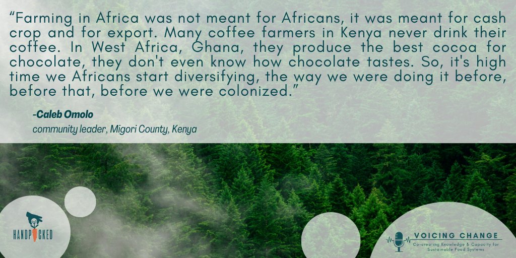Hear more from community leader Caleb Omolo from Migori County Kenya in our next episode of the Voicing Change szn of Handpicked. We talk #agroecology #womeninfarming #youthempowerment #foodsovereignty + more !

Listen🎧at this link: researchcentres.wlu.ca/.../handpicked…