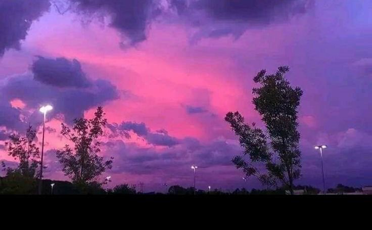violettweets_'s tweet photo. purple skies. https://t.co/CaSg7pulvV