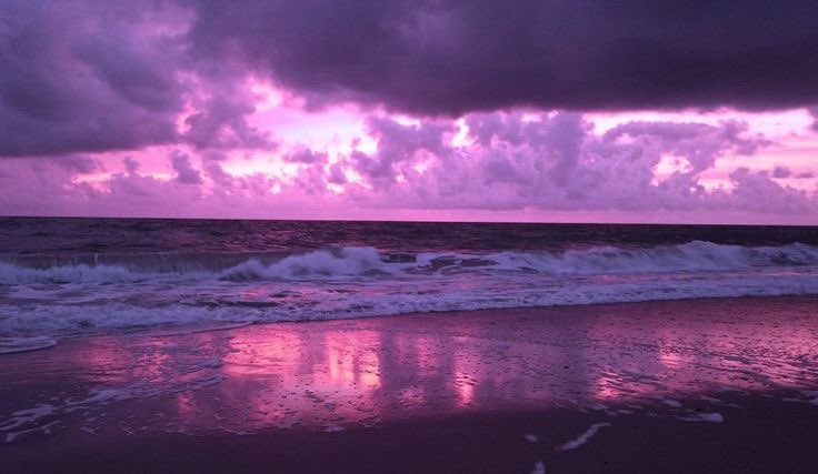 purple skies.