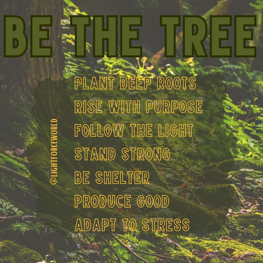 lightforceworld's tweet image. #bethetree #light #purpose #lightforceworld