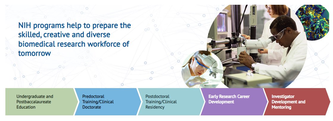 💡Friendly reminder that if you have any questions regarding #NIH Research Training & Career Development, feel free to send us an 📨 - NIHTrain@mail.nih.gov 💻researchtraining.nih.gov #AcademicChatter #phdlife #ecrchat