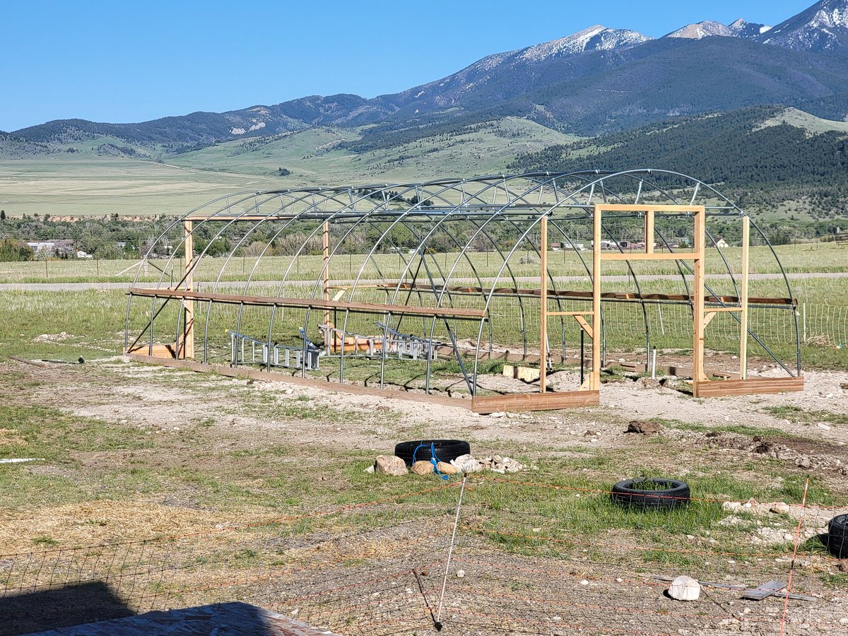 GreenDuckFarms's tweet photo. Finally got all the framing done !

Need to screw the C channel on now.
And put in framing for a small chicken door...
Got almost all the framing done :D
#hoophouse #bootstrapfarmer #homestead https://t.co/0IXdpOiaR1