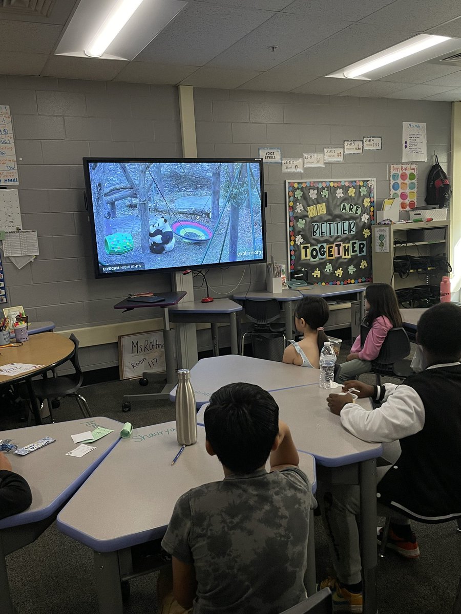 Kelly Rottman tweet media