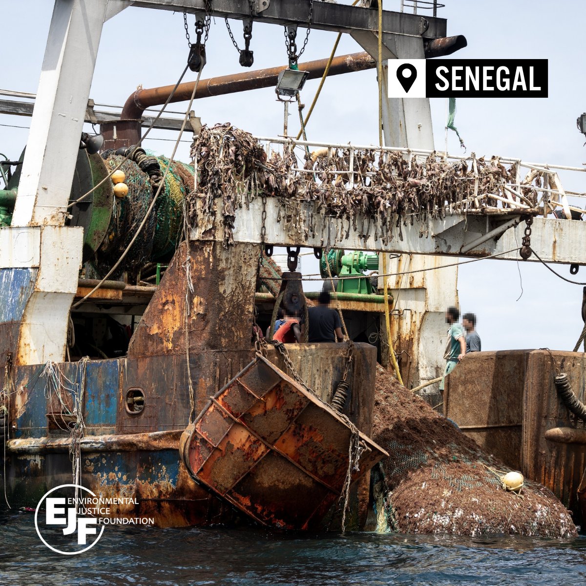 Ausländische Trawler, die illegal in Gebieten fischen, die Kleinfischern vorbehalten sind, profitieren von mangelnder Transparenz in Senegals Fischerei. Fischer berichteten von zerstörten Kanus und Kollisionen mit Schiffen, bei denen tragischerweise auch Menschen ums Leben kamen.