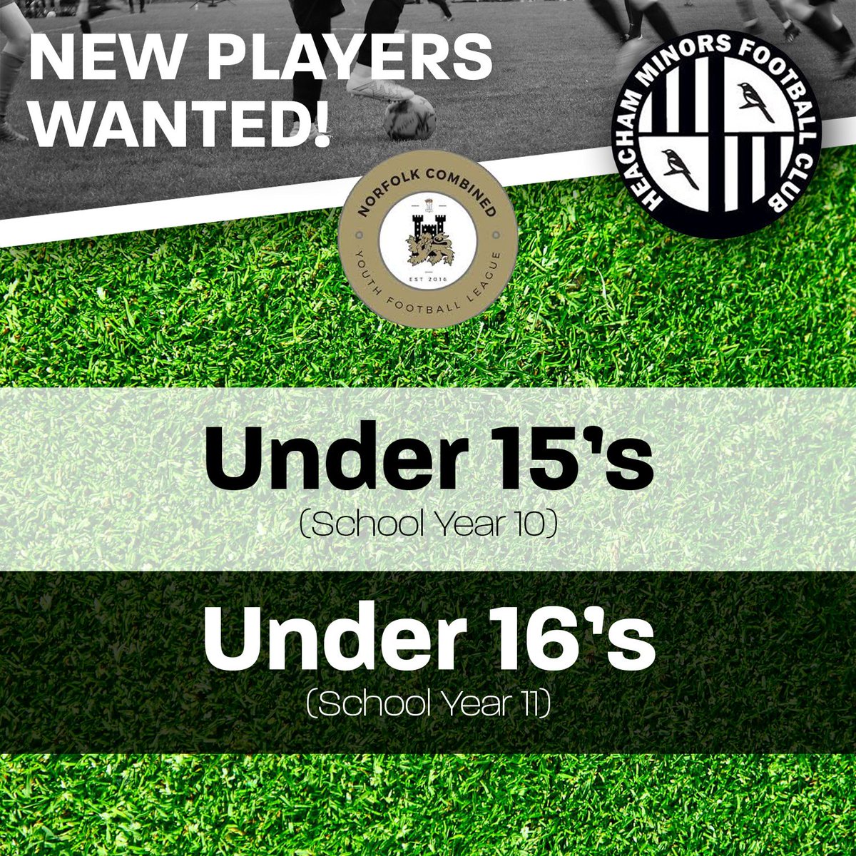 Heacham Minors FC tweet media