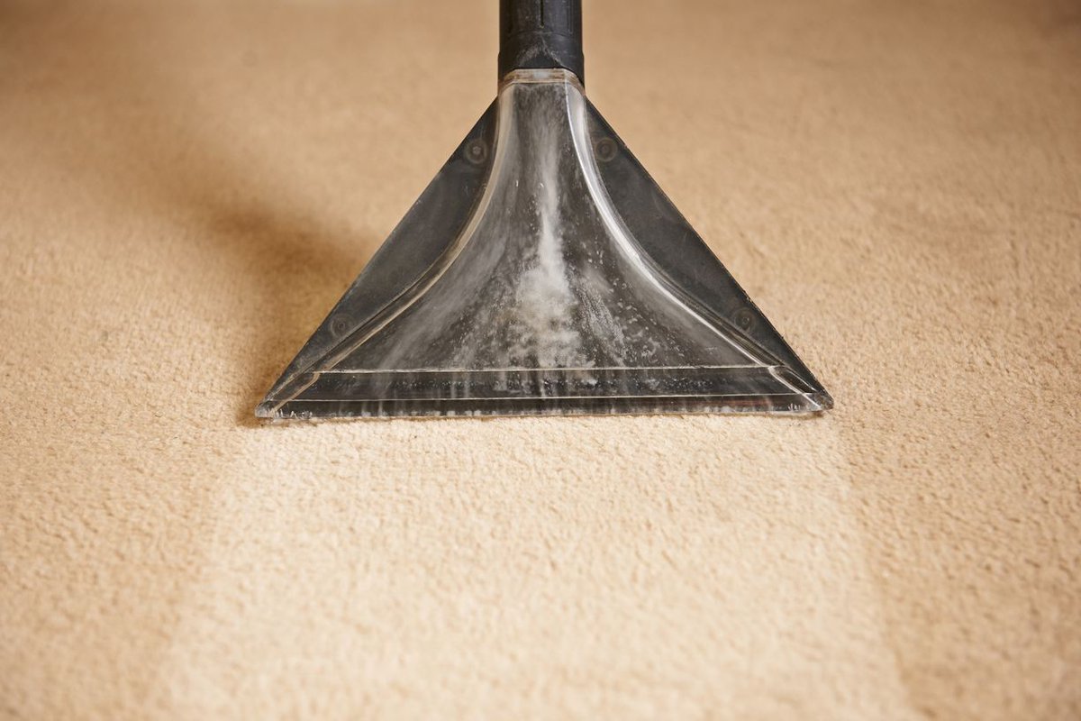 Stains on your carpet? We've all been there. Trust us to bring back the softness and freshness of your carpets with our deep carpet cleaning services. Say goodbye to stains and hello to freshness! Reach out today! #CarpetCleaning paintingserviceindianapolis.com/contact