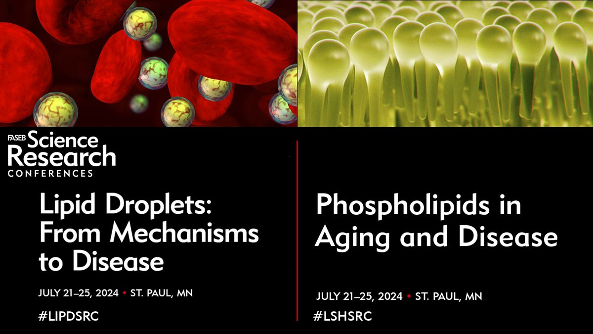 FASEB (@faseborg) on Twitter photo Save $150 and enjoy two conferences for the price of one if you register by June 9. Organizers
<a href="/OlzmannLab/">James Olzmann</a>, <a href="/HenneLab/">Henne_Lab</a>, <a href="/AntonellaDeMat4/">Antonella De Matteis</a>, <a href="/VolkerHaucke/">Haucke lab</a>, <a href="/BrookeEmerling/">Brooke Emerling</a>, <a href="/sharontooze01/">Sharon Tooze</a> can't wait to see you! Save your space:
hubs.ly/Q02ynmz60
hubs.ly/Q02ynpB30 Save $150 and enjoy two conferences for the price of one if you register by June 9. Organizers
<a href="/OlzmannLab/">James Olzmann</a>, <a href="/HenneLab/">Henne_Lab</a>, <a href="/AntonellaDeMat4/">Antonella De Matteis</a>, <a href="/VolkerHaucke/">Haucke lab</a>, <a href="/BrookeEmerling/">Brooke Emerling</a>, <a href="/sharontooze01/">Sharon Tooze</a> can't wait to see you! Save your space:
hubs.ly/Q02ynmz60
hubs.ly/Q02ynpB30