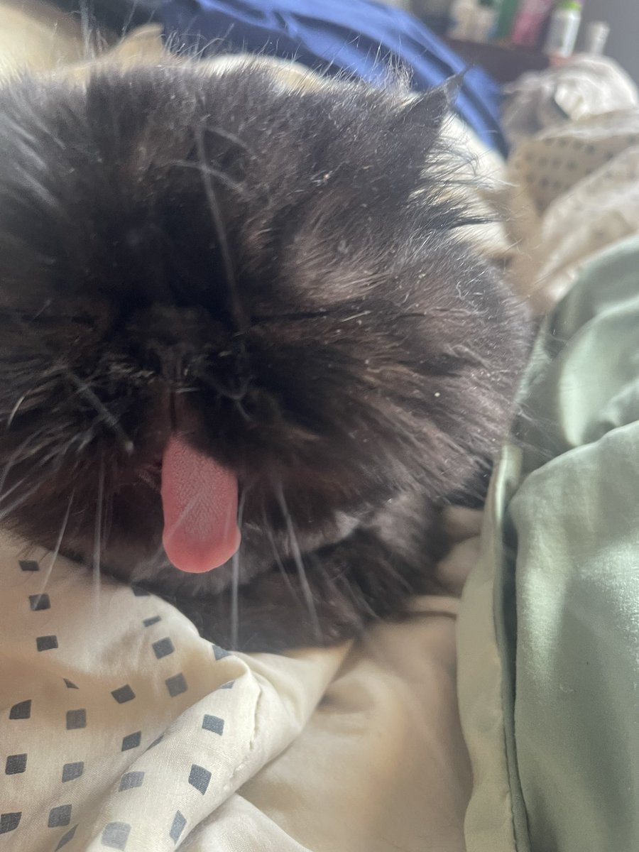 pee oh ever yuo are an ise cream cone or perhaspe and lollypop