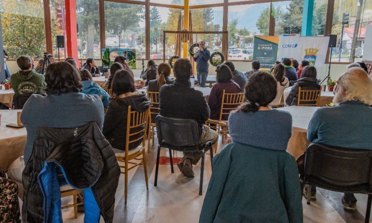 Finaliza con éxito segunda versión de Academia de Negocios por el Planeta en Coyhaique #Coyhaique #Corfo #Aysén #Emprendedores tinyurl.com/2yhgpyza